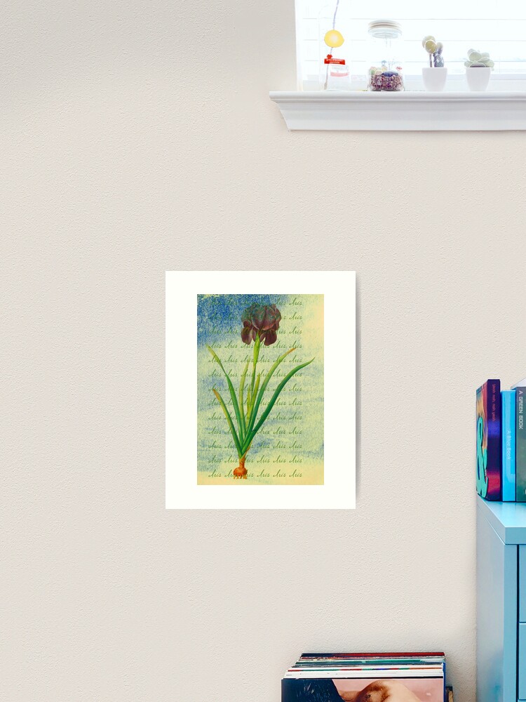 Thumbnail 1 of 3, Art Print, Botanical Print-"Iris" designed and sold by Matlgirl.