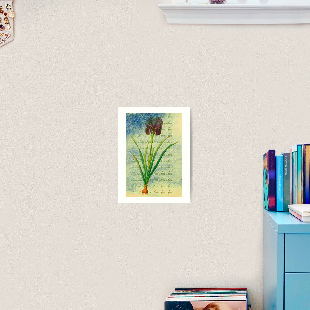 Botanical Print-"Iris" Art Print
