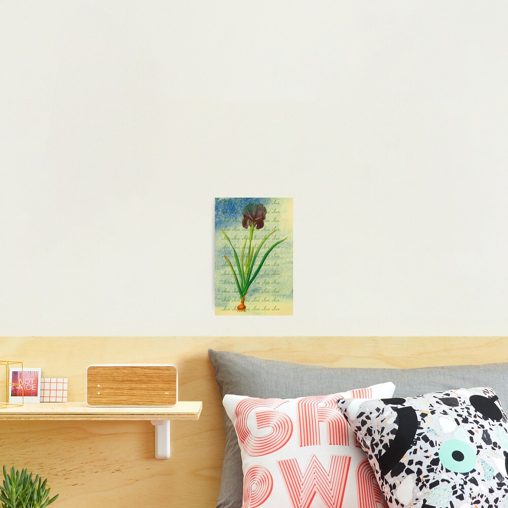 Item preview, Photographic Print designed and sold by Matlgirl.