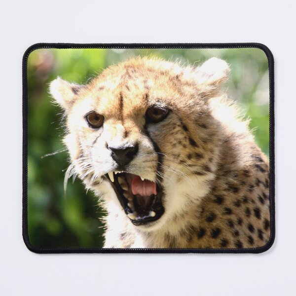 Item preview, Cheetah Roar designed and sold by dartsyart.