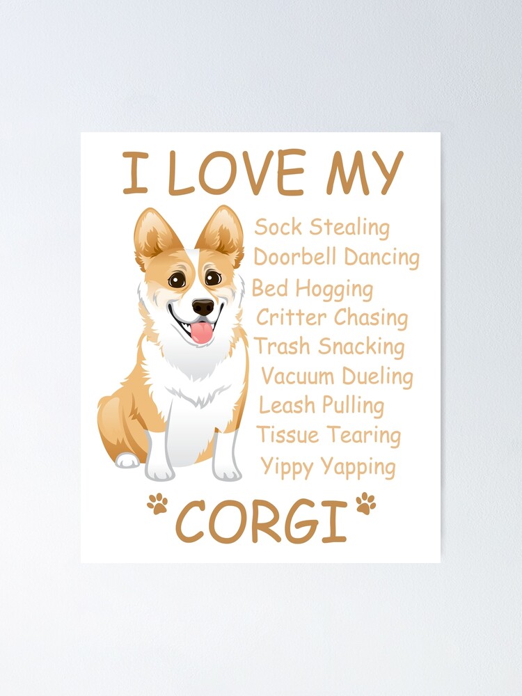 i love corgi