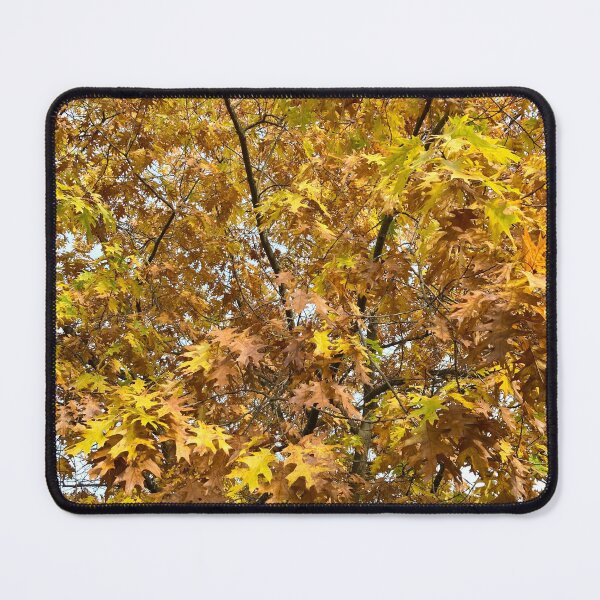Item preview, Autumn/Fall Tree Golden Leaves designed and sold by ZophiaSolaris.