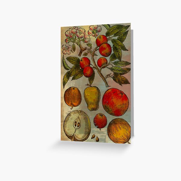 Botanical Print-Fruit Botanicals-Apples-Pears Greeting Card