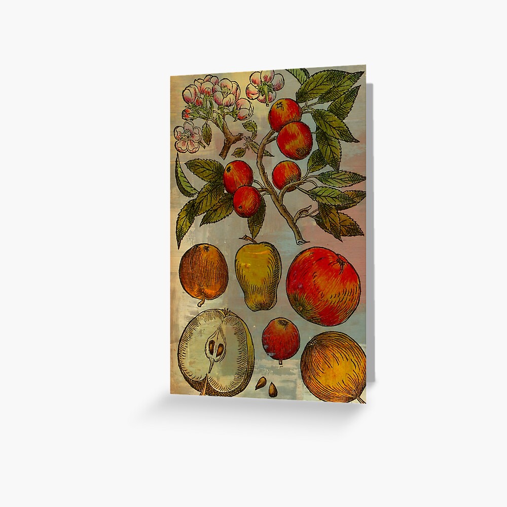 Botanical Print-Fruit Botanicals-Apples-Pears Greeting Card
