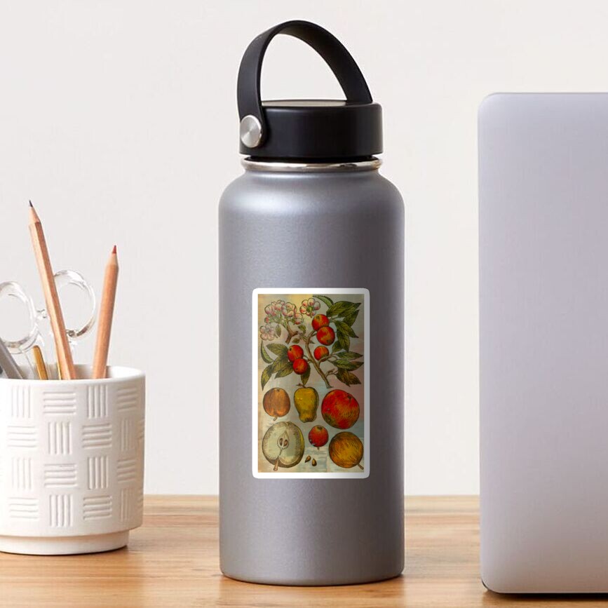 Botanical Print-Fruit Botanicals-Apples-Pears Sticker