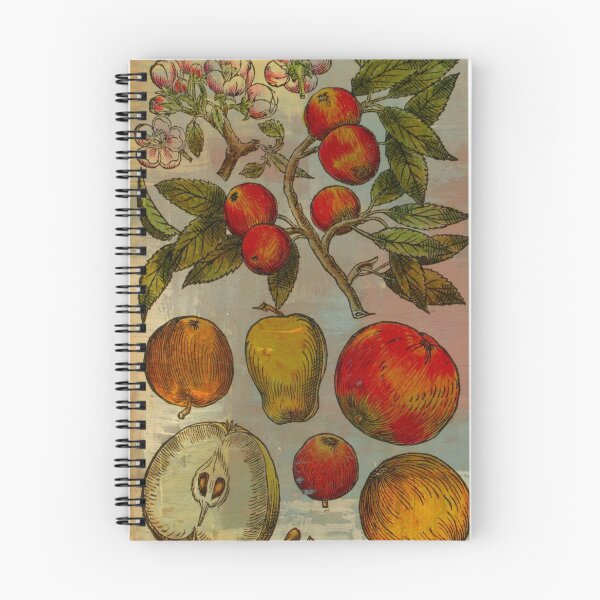 Item preview, Botanical Print-Fruit Botanicals-Apples-Pears designed and sold by Emily Gartner.