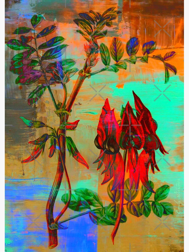 Botanical Print-Sturt Pea-Australia's Wildflower by Matlgirl