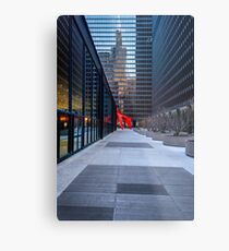 Willis Metal Print