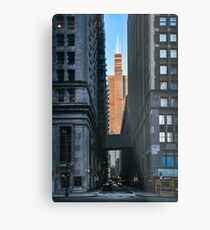 Willis Metal Print