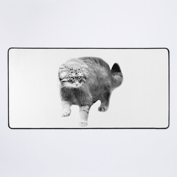 Vista previa del artículo con la obra «Gato Pallas Blanco y Negro», diseñado y vendido por ep-pandality.