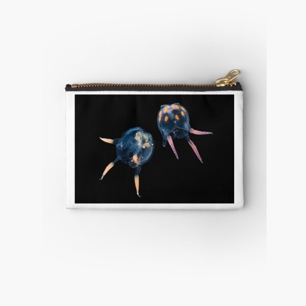 Item preview, Box jellyfish, Copula sivickisi designed and sold by Jaykayl.