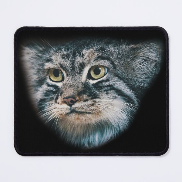 Vista previa del artículo con la obra «Lindo gato Pallas II», diseñado y vendido por ep-pandality.