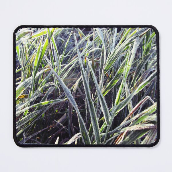 Item preview, Frosty morning grass | Frost on wild grass photography  designed and sold by lausn.