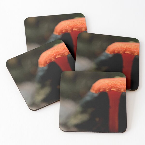 Item preview, Goblet Waxcap designed and sold by Jason Tompkins.
