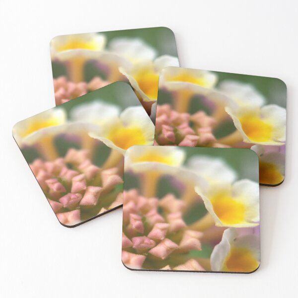 Item preview, Lantana designed and sold by Jason Tompkins.