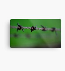 wired Metal Print
