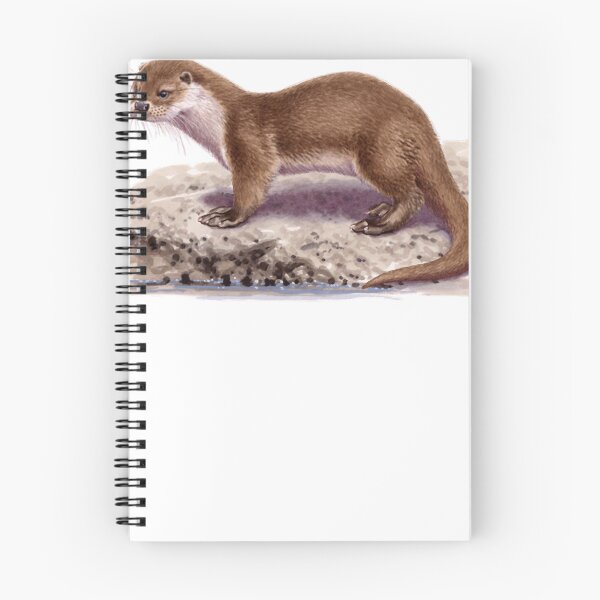 Item preview, Eurasian Otter designed and sold by JeanMerz.