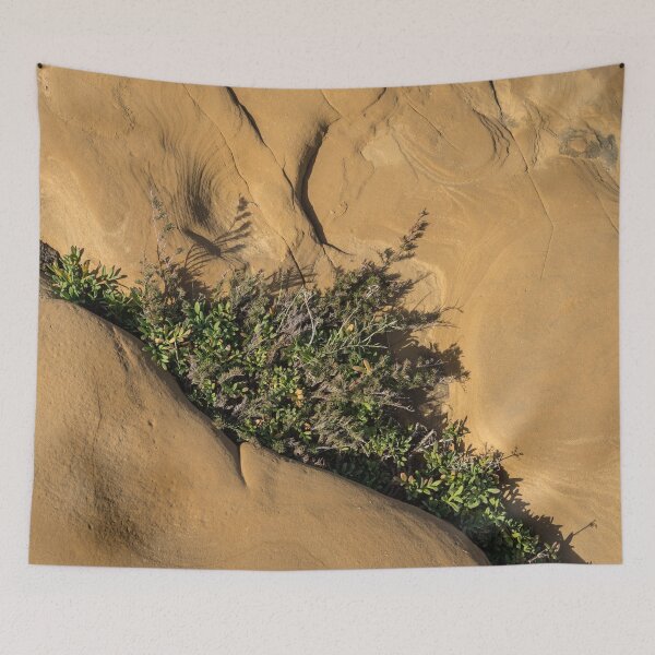 Item preview, Life on Bare Rock - Diagonal Crack with Herbs designed and sold by Georgia Mizuleva.