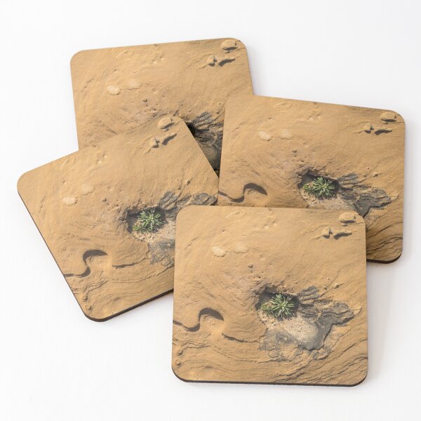 Item preview, Life on Bare Rock - Delicate Plants on Rough Limestone designed and sold by Georgia Mizuleva.