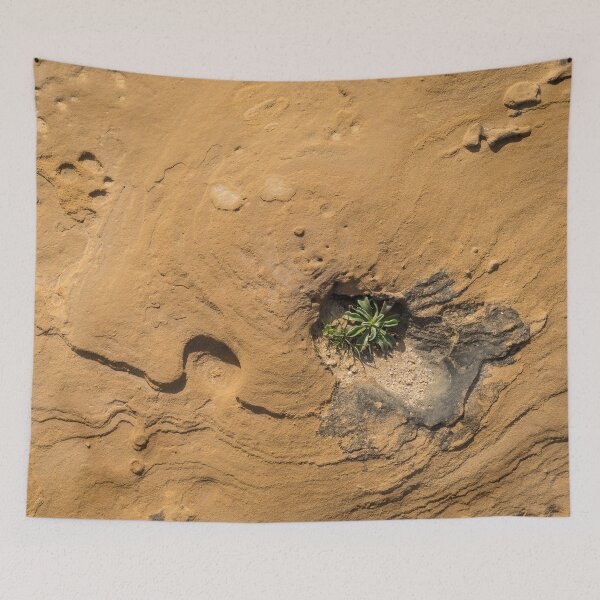 Item preview, Life on Bare Rock - Delicate Plants on Rough Limestone designed and sold by Georgia Mizuleva.