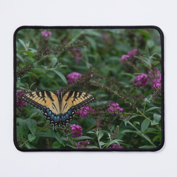 Item preview, Eastern Tiger Swallowtail on Butterfly Bush designed and sold by InGFocus.
