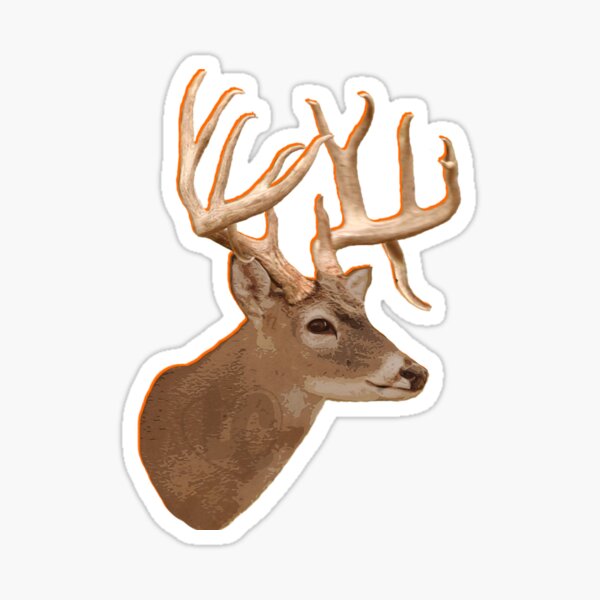 Buck Flag,Deer Hunting,Bow hunter,Skull,Country LIfe,NRA,Hunting