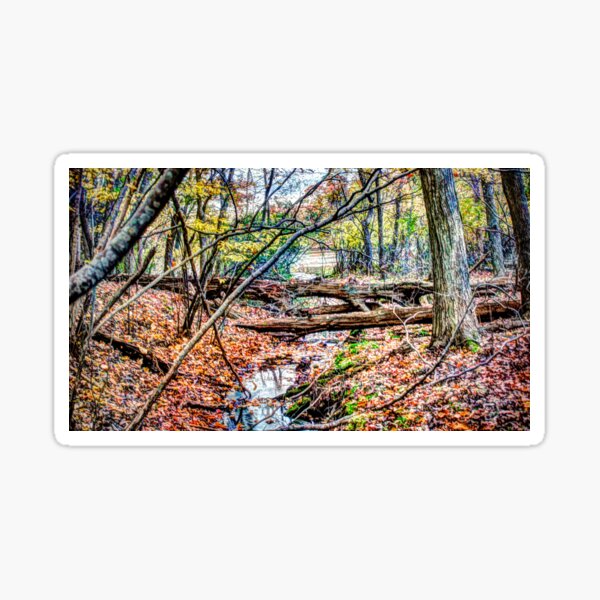 Autumn At Trout Pond Sticker