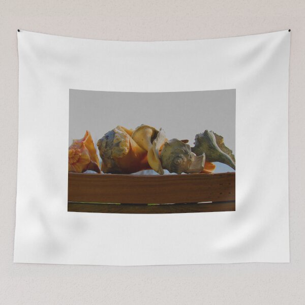 Item preview, Shells of the Sea designed and sold by bertsworks300.
