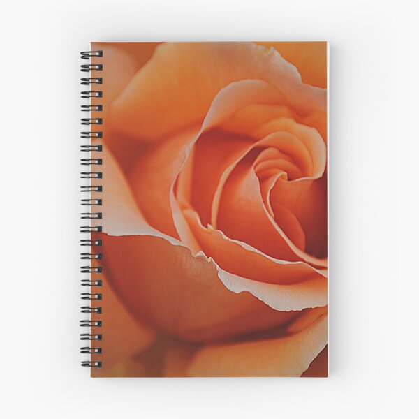 Item preview, Beautiful Rose designed and sold by Christine Lake.
