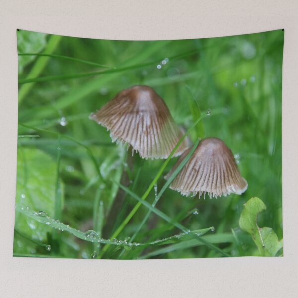 Item preview, Fungi in my Country Garden designed and sold by AnnDixon.