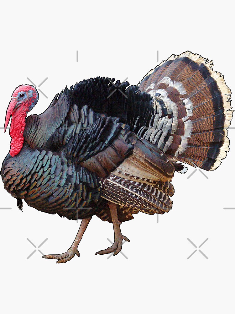 Thanksgiving Turkey Stickers Redbubble - how to get turkey head in roblox