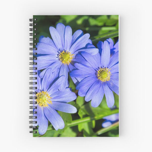 Item preview, Anemone Blanda  designed and sold by Dorset Girl.