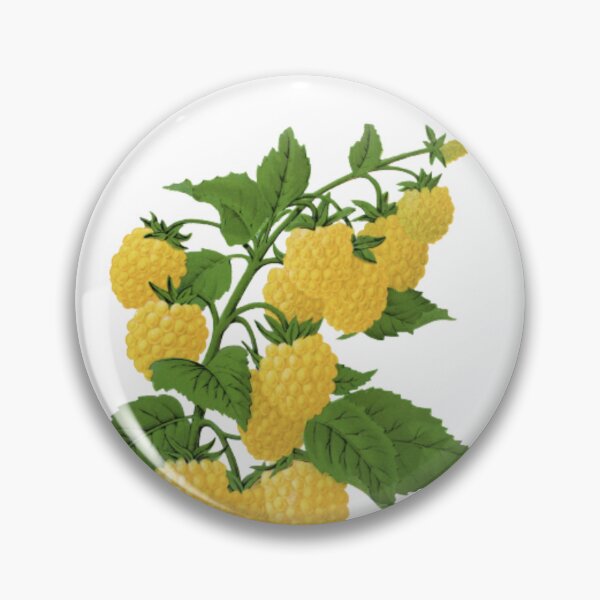 Item preview, Golden Berries designed and sold by ZinZoe.