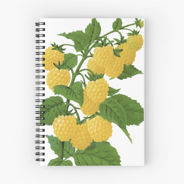 Item preview, Golden Berries designed and sold by ZinZoe.
