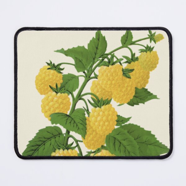 Item preview, Golden Berries designed and sold by ZinZoe.