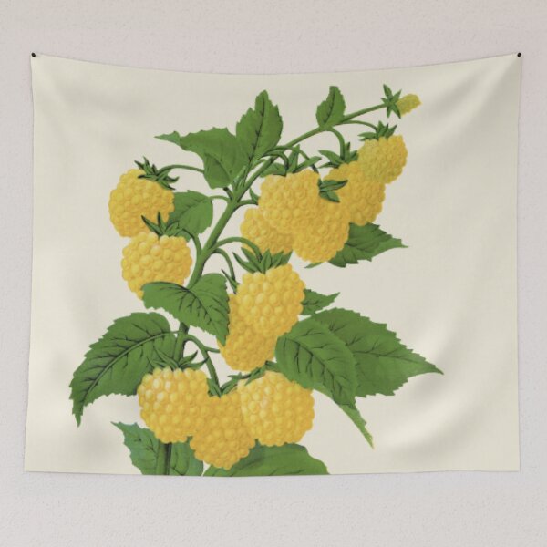 Item preview, Golden Berries designed and sold by ZinZoe.