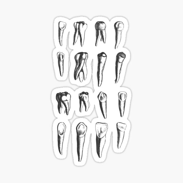 Item preview, Teeth! - Dental Theme Vintage Engraving in Grey, Black and White designed and sold by MadZakkaGraphic.