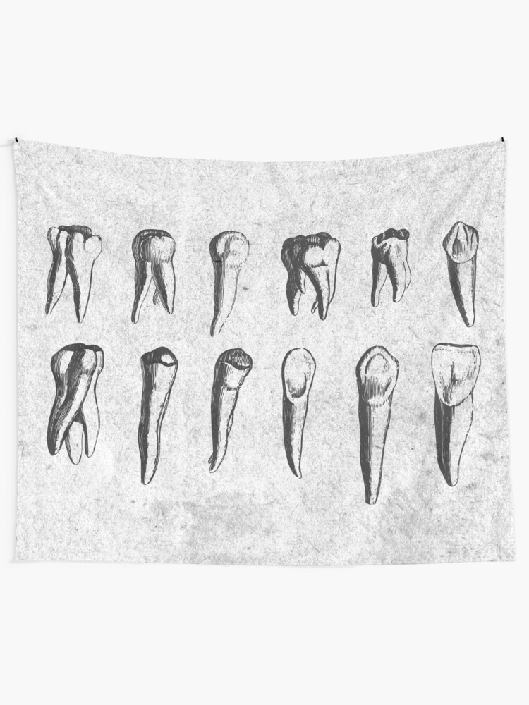 "Teeth! Dental Theme Vintage Engraving in Grey, Black and White