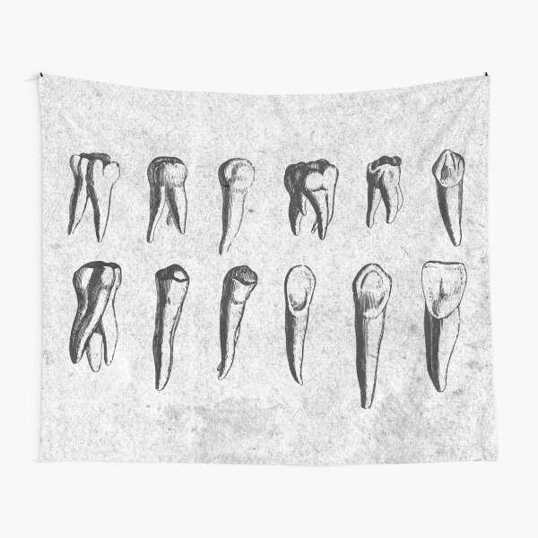 Item preview, Teeth! - Dental Theme Vintage Engraving in Grey, Black and White designed and sold by MadZakkaGraphic.
