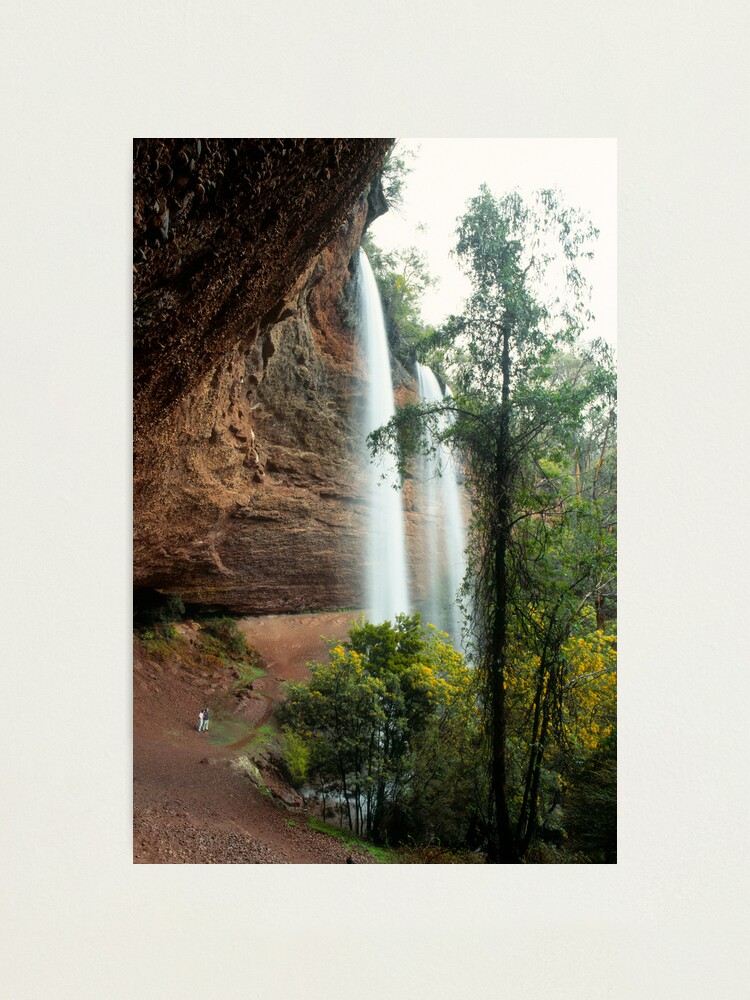 Paradise Falls VIC