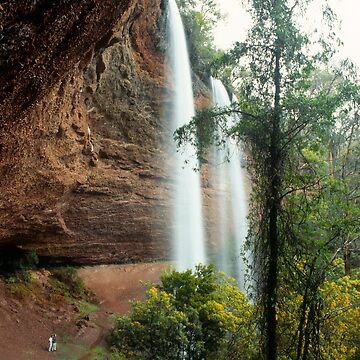 Paradise Falls VIC