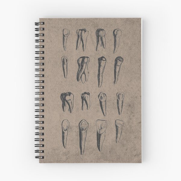 Item preview, Vintage Tooth Fairy Collection - 19th Century Engravings in Sepia and Black designed and sold by MadZakkaGraphic.