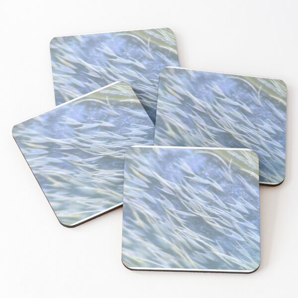Item preview, Luna Moth Wing Under Microscope #1 designed and sold by curiocabinets.