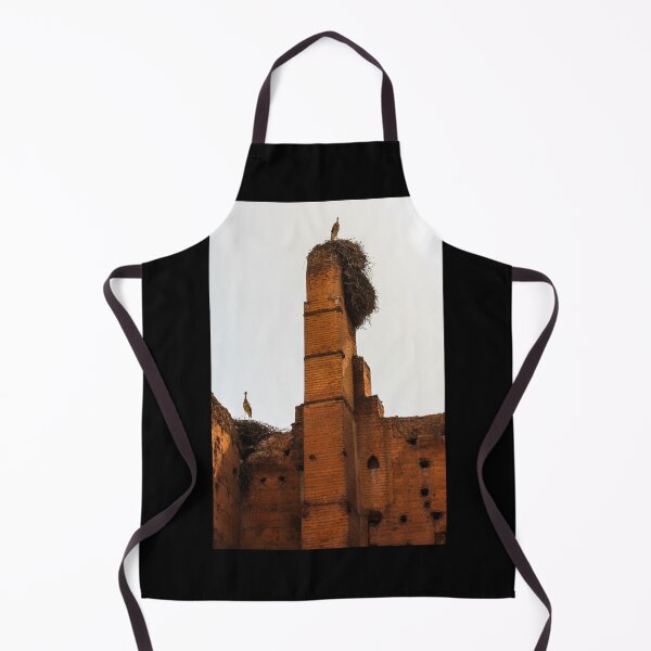 Item preview, Palais Badii Seagull, Marrakech. Morocco . designed and sold by BENMBARK.
