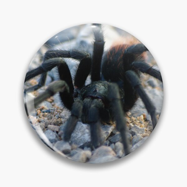 Item preview, Tarantula designed and sold by Vicki Pelham.
