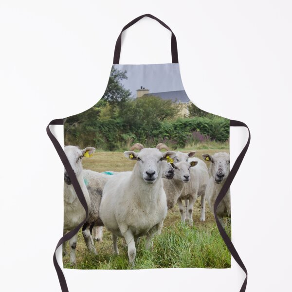 Item preview, Irish Sheep in Field designed and sold by ktmobrien.