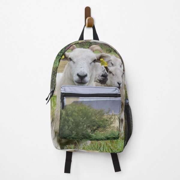Item preview, Irish Sheep in Field designed and sold by ktmobrien.