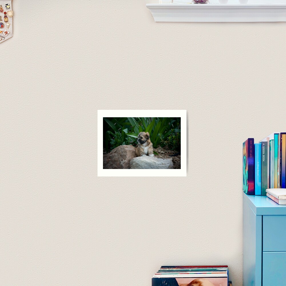 I am the King Art Print
