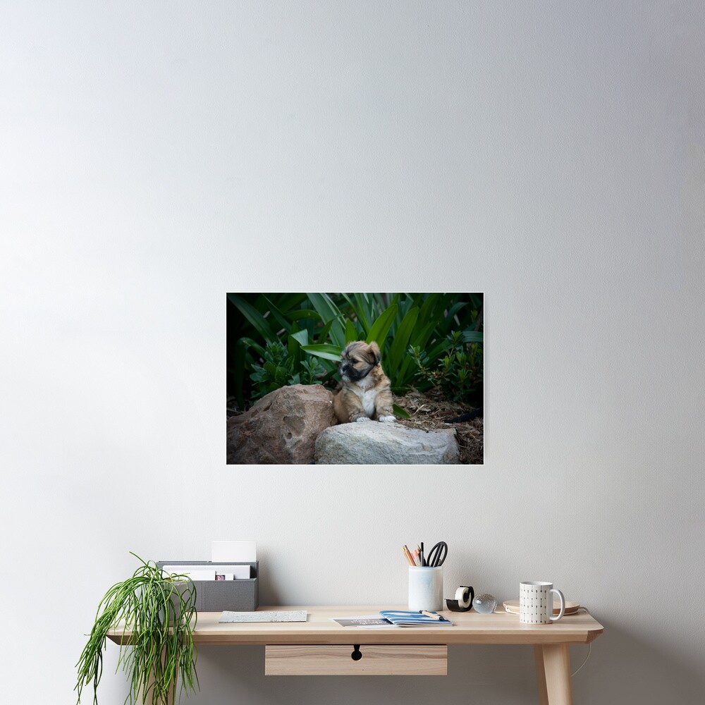 I am the King Poster