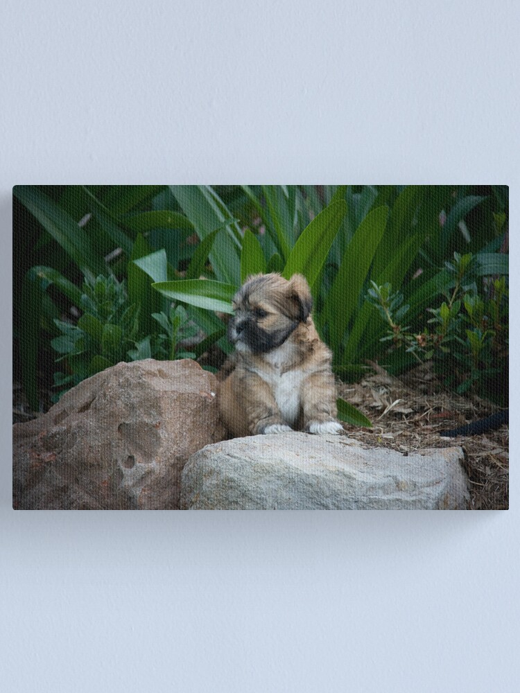 Alternate view of I am the King Canvas Print